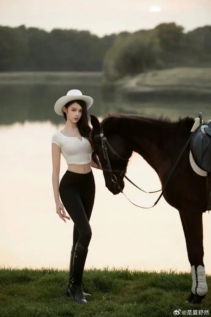 紫微斗数星盘分析界面